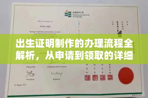 普湾新区出生证明制作的办理流程全解析，从申请到领取的详细指南